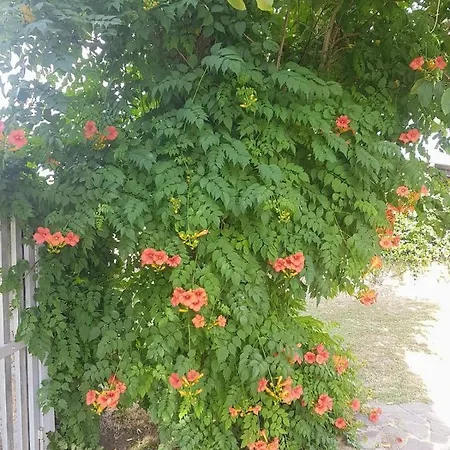 Loc.cioccaie Γκροσέτο